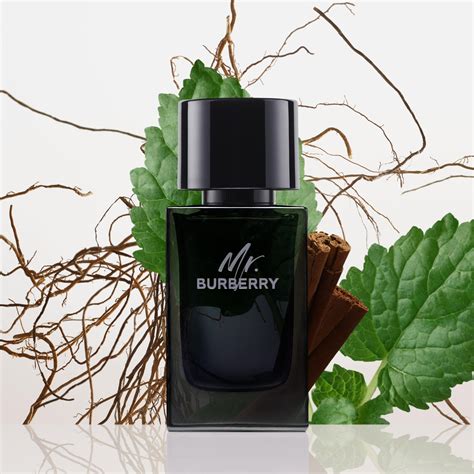 mr burberry prezzo|mr burberry eau de parfum.